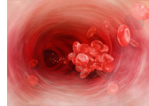 Blood Cells