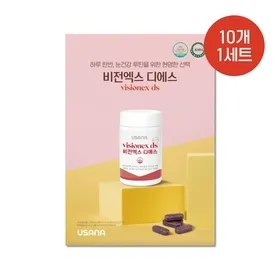 비전엑스 디에스 브로셔 (10매 1세트)