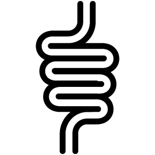 Digestive Health